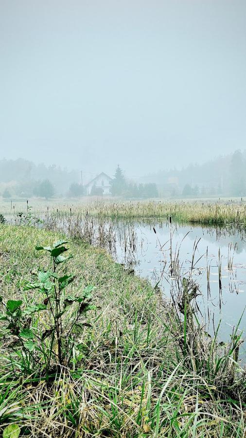 Gospodarstwo Agroturystyczne Zasadkowe Bory Rogowo  Zewnętrze zdjęcie